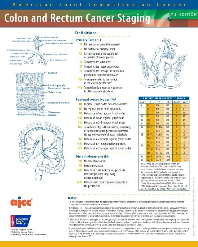 Bowel - rectal cancer